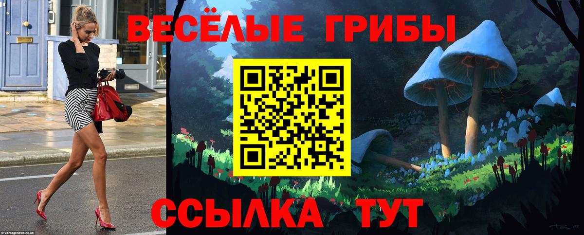 что такое   Вход с VPN  Качканар  Галлюциногенные грибы мухоморы 